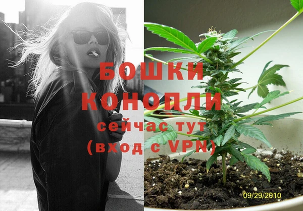 ешки Алексин