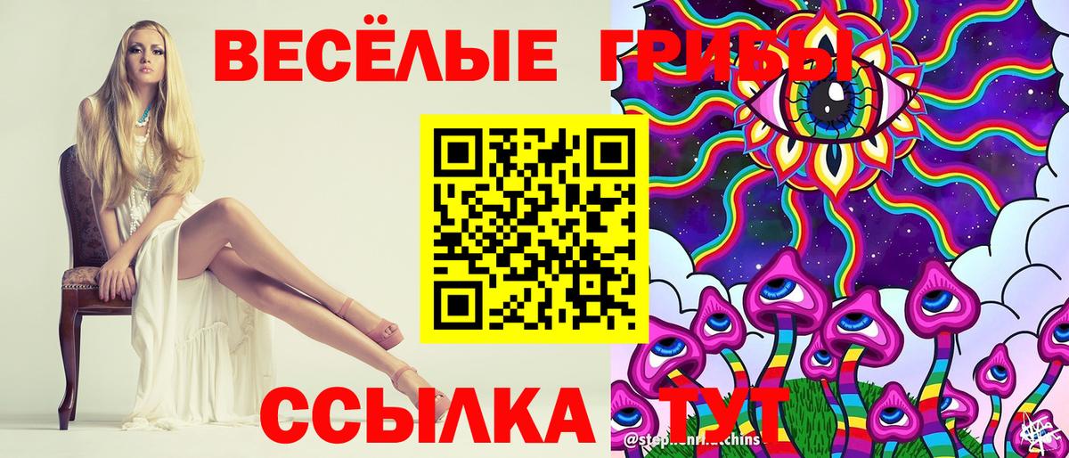 закладки  Вход с VPN  Старая Русса  Псилоцибиновые грибы ЛСД 